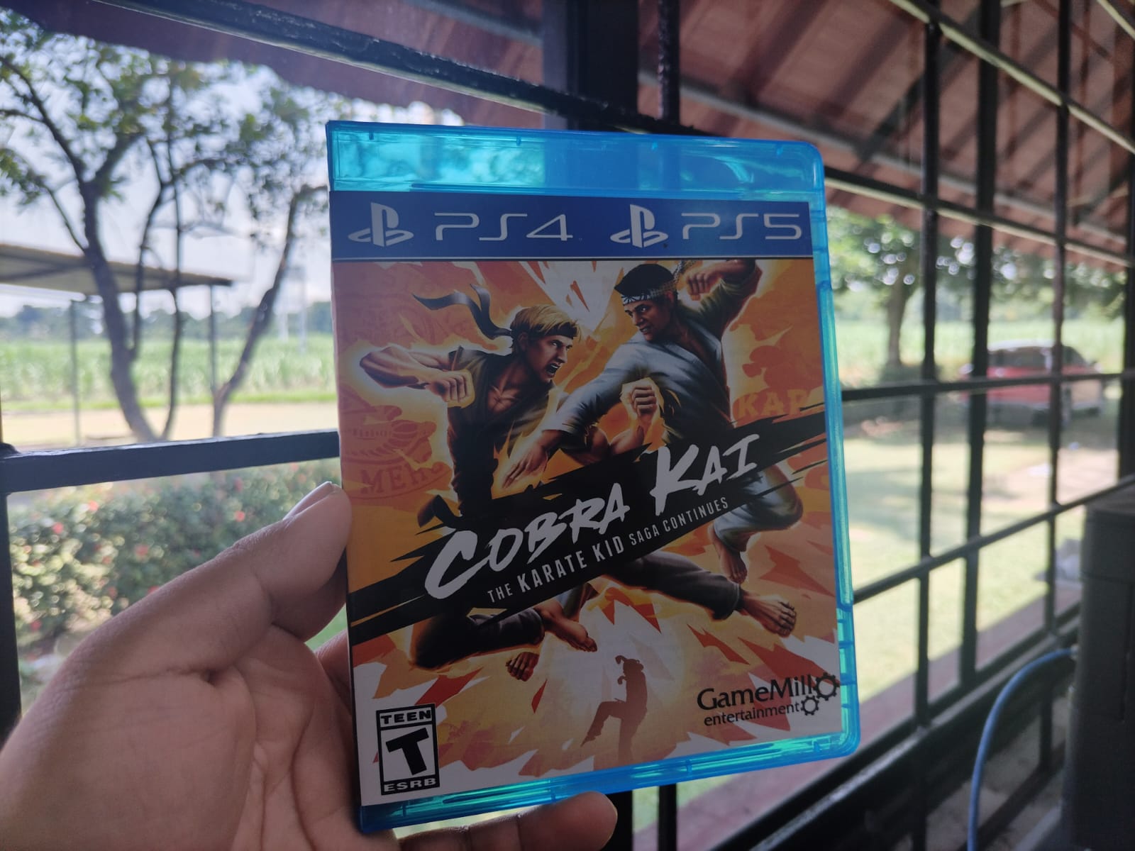 COBRA KAI PS4/PS5